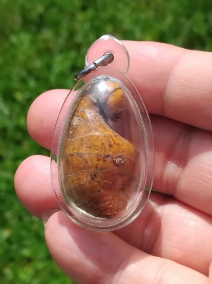 คตต้นไผ่ ขนาดเท่าไข่นก มีน้ำหนัก สภาพสวย สมบูรณ์ รูปทรงรี มีมิติ ขนาดไม่เท่ากัน คตแท้ๆที่กลายเป็นหินไม่ใช่ของปลอม มีน้ำหนัก สภาพเดิม เป็นธรร รูปที่ 3