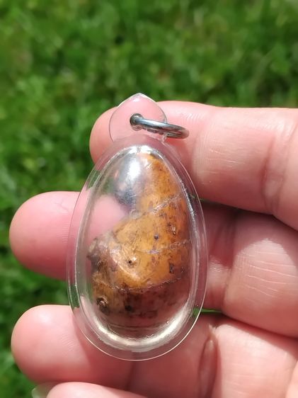 คตต้นไผ่ ขนาดเท่าไข่นก มีน้ำหนัก สภาพสวย สมบูรณ์ รูปทรงรี มีมิติ ขนาดไม่เท่ากัน คตแท้ๆที่กลายเป็นหินไม่ใช่ของปลอม มีน้ำหนัก สภาพเดิม เป็นธรร รูปที่ 4