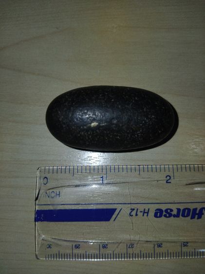 คตเต่า ขนาดเท่าเม็ดขนุน มีน้ำหนัก สภาพสวย สมบูรณ์ รูปทรงรี มีมิติ ขนาดไม่เท่ากัน คตแท้ๆที่กลายเป็นหินไม่ใช่ของปลอม สภาพเดิม เป็นธรรมชาติจริง รูปที่ 7