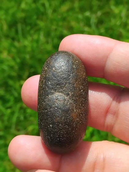 คตเต่า ขนาดเท่าเม็ดขนุน มีน้ำหนัก สภาพสวย สมบูรณ์ รูปทรงรี มีมิติ ขนาดไม่เท่ากัน คตแท้ๆที่กลายเป็นหินไม่ใช่ของปลอม สภาพเดิม เป็นธรรมชาติจริง รูปที่ 4