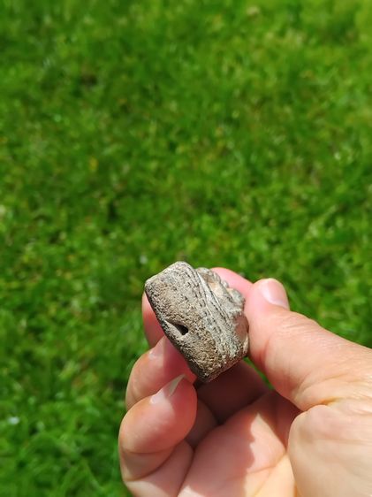 พระนาคปรก กรุนาดูน พิมพ์ใหญ่ มีกริ่ง อายุ 1,200 ปี ศิลปทวาราวดี ยุคปลาย กรุสามต้นยาง อ.นาดูน จ.มหาสารคาม เนื้อดินเผาออกสีเขียว เนื้อดินหยาบ  รูปที่ 5