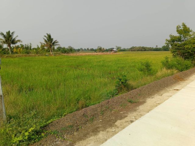 ที่ดินใกล้เมืองโคราชขายถูก รูปที่ 3
