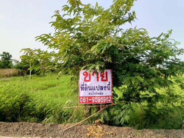 ที่ดินใกล้เมืองโคราชขายถูก รูปที่ 4