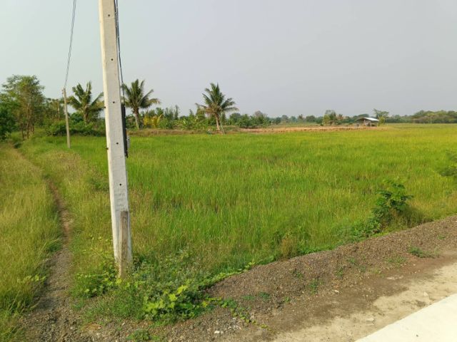 ที่ดินใกล้เมืองโคราชขายถูก รูปที่ 2