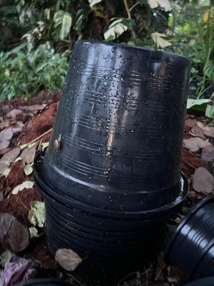 กระถางต้นไม้มือสอง คุณภาพดี ขายแพคละ 10 กระถาง ราคาถูกมากๆค่ะ มารับเองลดราคาให้อีกค่ะ รูปที่ 15