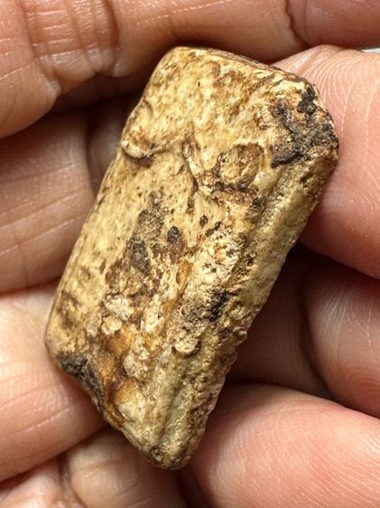 🙏พระสมเด็จพิมพ์ใหญ่ 🙏พระผงเก่าๆ องค์ละ1000 รูปที่ 16