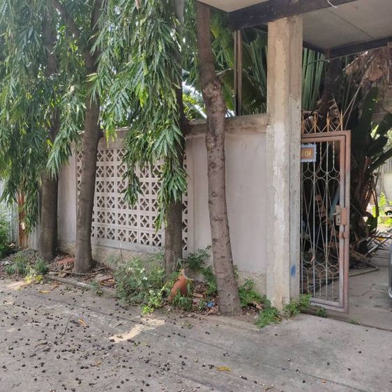 ที่ดิน 100 ตรว. พร้อมบ้าน นวมินทร์ 74 รูปที่ 4