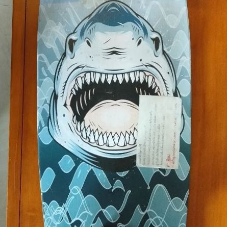 ผู้ชาย อื่นๆ สเก็ตบอร์ด