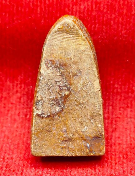 💟 องค์เซียนแป๊ะโค้ว หัวตะเข้ ปี05 รูปที่ 2