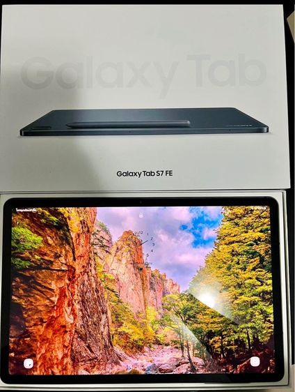 Samsung Galaxy Tab7 FE Cellular 