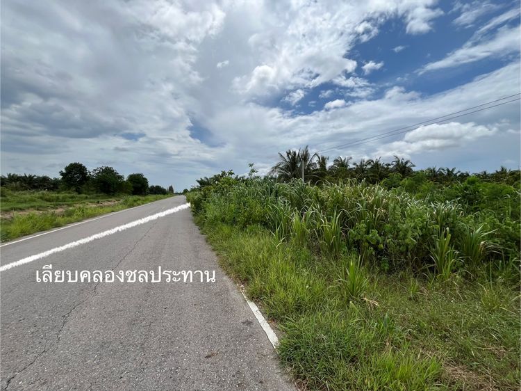 ขายที่ดิน อ.สามร้อยยอด ประจวบคีรีขันธ์ ติดถนนเลียบคลองชลประทาน ติดถนนทุ่งเคล็ด-บางหนองไทร เนื้อที่ 11-1-32 ไร่ รูปที่ 4