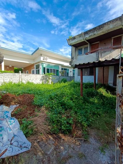 ไม่ใช่ ขายที่ดินเนื้อที่ 75 ตร.ว. หมู่บ้านเมืองทอง 4 ซ.ปุณณวิถี 53 (สุขุมวิท 101)  ทำเลดี อยู่ใจกลางเมือง รูปที่ 4
