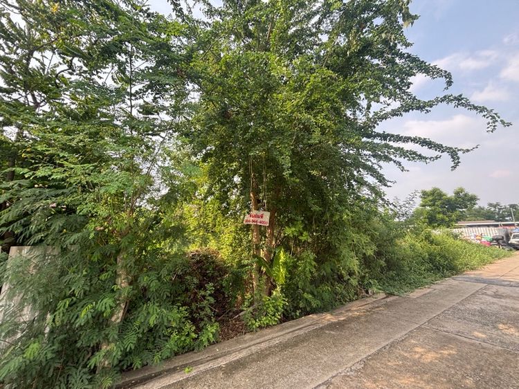 ขายที่ดิน 109 ตร.วา ใกล้ BTS สะพานใหม่ รูปที่ 2