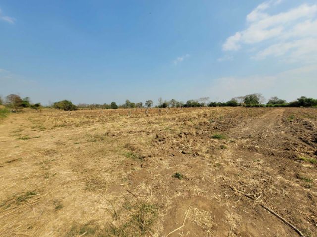 ต้องการที่ดินเขาใหญ่ วิวสวย น้ำ ไฟ พร้อม รูปที่ 4