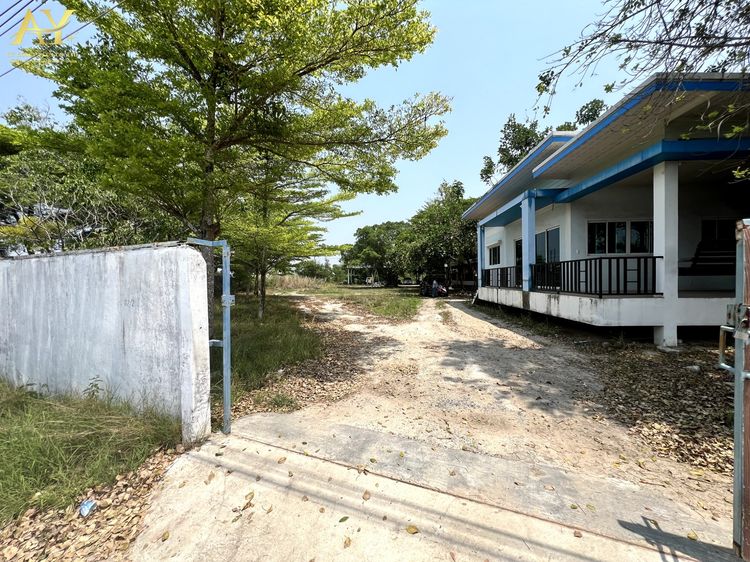 ขายที่ดิน พร้อมสิ่งปลูกสร้าง ขนาด 2.29ไร่ ต.มาบโป่ง อ พานทอง ชลบุรี  ขายเพียง 12.9ลบเท่านั้น รูปที่ 3