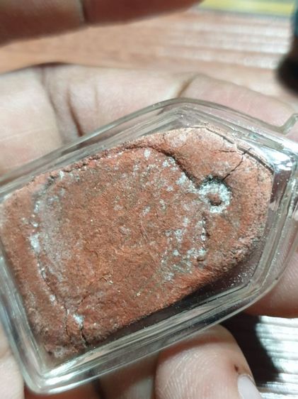 หลวงปู่ทวด พิมพ์ซุ้มเรือนแก้ว วัดนาประดู่ ปี 2505 สภาพสวยพร้อมเลี่ยมกันน้ำ หายากสุดๆ มวลสาร หลวงปู่ทวดปี 2497 หลวงปู่ทิมวัดช้างให้ปลุกเสก รูปที่ 10