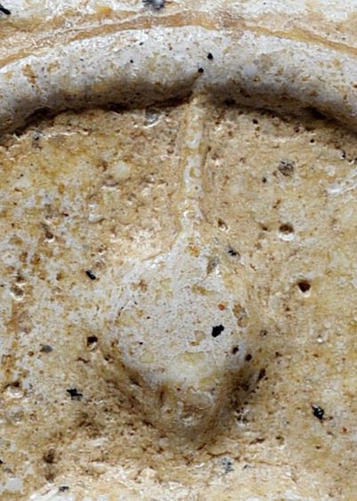 สวยมาก-มีมวลสาร พระสมเด็จวัดระฆัง พิมพ์ใหญ่ เก่าจัดจ้าน รูปที่ 6