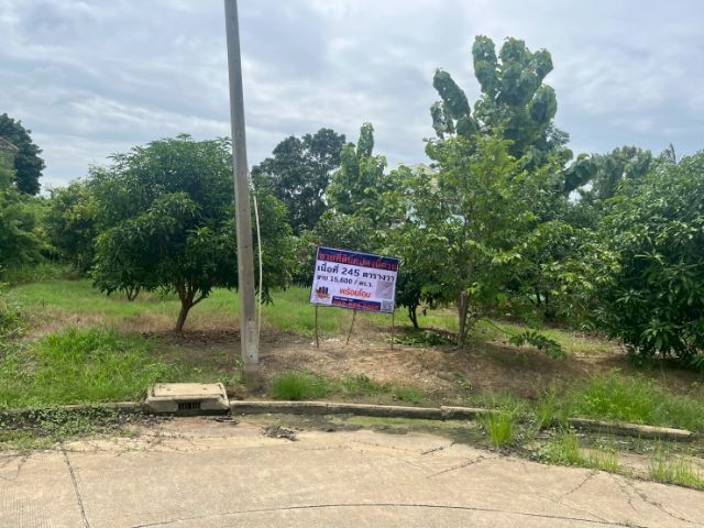 ขายที่ดินเปล่า 245 ตร.ว. ถมแล้ว ม กฤษดานคร26 รูปที่ 4