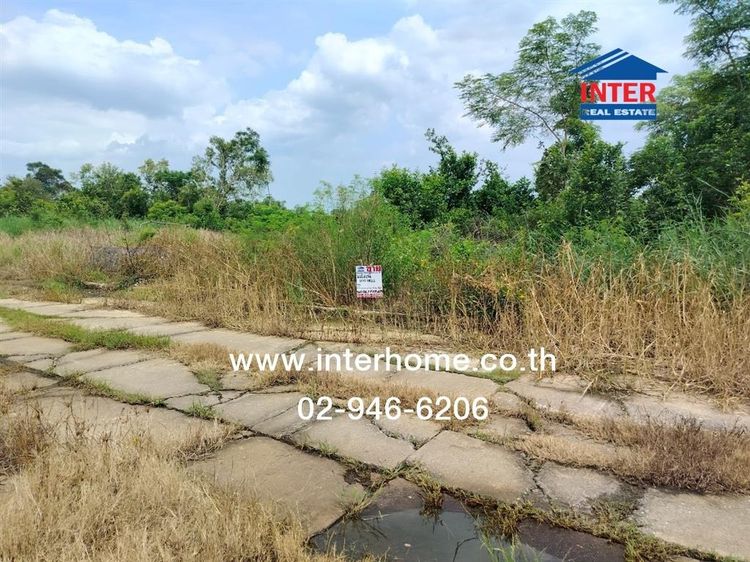 ไม่ใช่ ที่ดินเปล่า 100 ตร.ว. ที่ดิน หมู่บ้านปิยรมย์ ถนนลำลูกกา ถนนคลอง13 ลำลูกกา ปทุมธานี รูปที่ 4