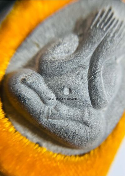 พระปิดตาจัมโบ้ เนื้อผงใบลาน รุ่น 111 ปี หลวงปู่โต๊ะ วัดประดู่ฉิมพลี กทม ปี 41 รูปที่ 2