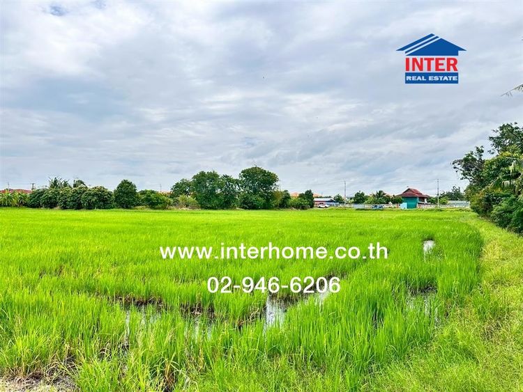 ไม่ใช่ ที่ดินเปล่า 10 ไร่ 280 ตร.ว. ที่ดิน ซอยประชาร่วมใจ1 ถนนกาญจนาภิเษกด ถนนแก้วอินทร์ บางใหญ่ นนทบุรี รูปที่ 4