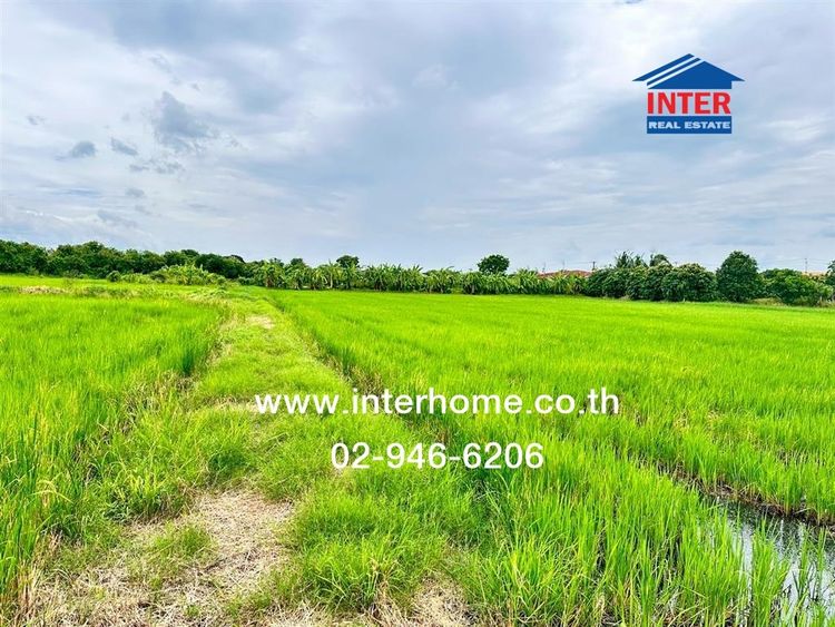 ไม่ใช่ ที่ดินเปล่า 10 ไร่ 280 ตร.ว. ที่ดิน ซอยประชาร่วมใจ1 ถนนกาญจนาภิเษกด ถนนแก้วอินทร์ บางใหญ่ นนทบุรี รูปที่ 3