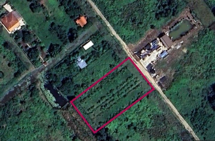 ขายที่ดิน 801 ตรว. ราคาถูก อ. บางไทร จ. พระนครศรีอนุธยา รูปที่ 2