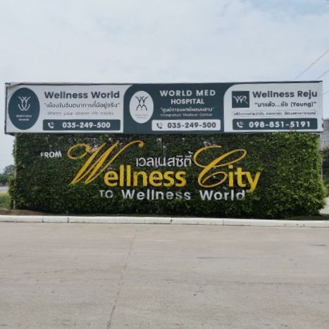 ขายที่ดิน 801 ตรว. ราคาถูก อ. บางไทร จ. พระนครศรีอนุธยา รูปที่ 3