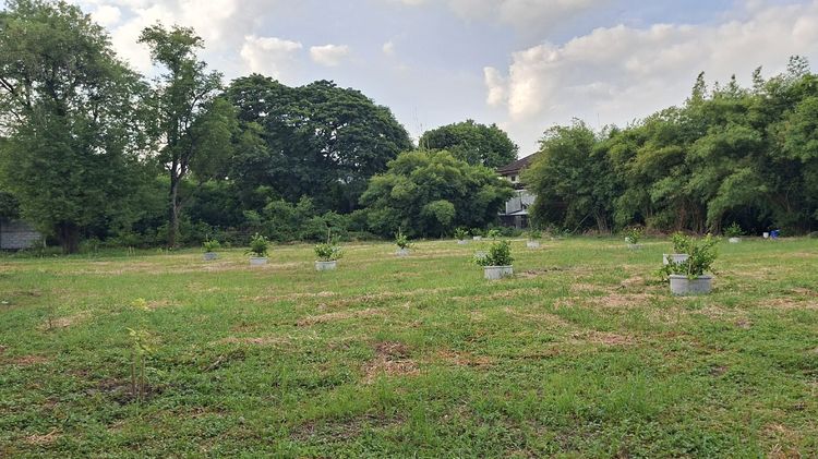 ไม่ใช่ ที่ดินหมู่บ้านนวธานี สนามกอล์ฟ ที่ดินเปล่าถมแล้ว 597 ตารางวา รูปที่ 4