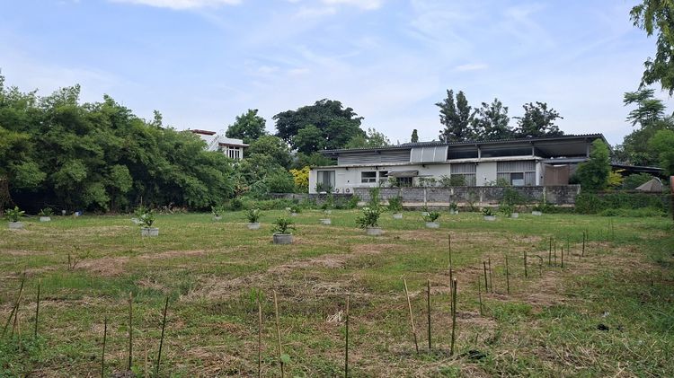 ไม่ใช่ ที่ดินหมู่บ้านนวธานี สนามกอล์ฟ ที่ดินเปล่าถมแล้ว 597 ตารางวา รูปที่ 3