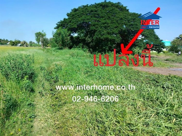 ไม่ใช่ ที่ดินเปล่า 200 ตร.ว. ที่ดินเปล่า ใกล้วิทยาลัยเทคนิคนนทบุรี ถนน340 บางบัวทอง-สุพรรณ ไทรน้อย นนทบุรี รูปที่ 3