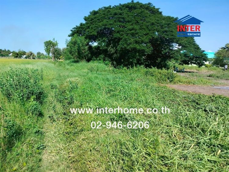 ไม่ใช่ ที่ดินเปล่า 200 ตร.ว. ที่ดินเปล่า ใกล้วิทยาลัยเทคนิคนนทบุรี ถนน340 บางบัวทอง-สุพรรณ ไทรน้อย นนทบุรี รูปที่ 4