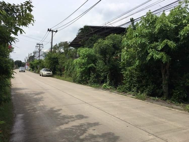 ขายที่ดินแถวสามโคก เนื้อที่ 14-3-55 ไร่ รูปที่ 4