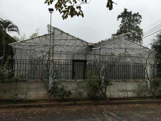 โครงเหล็กโรงเรือนปลูกพืช รูปที่ 2