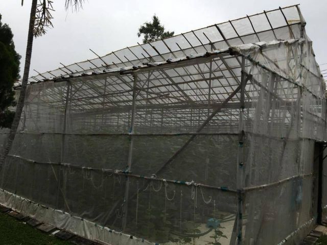 โครงเหล็กโรงเรือนปลูกพืช