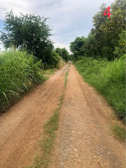 ที่ดิน 200 ตรว หนองเสือ ปทุมธานี รูปที่ 4