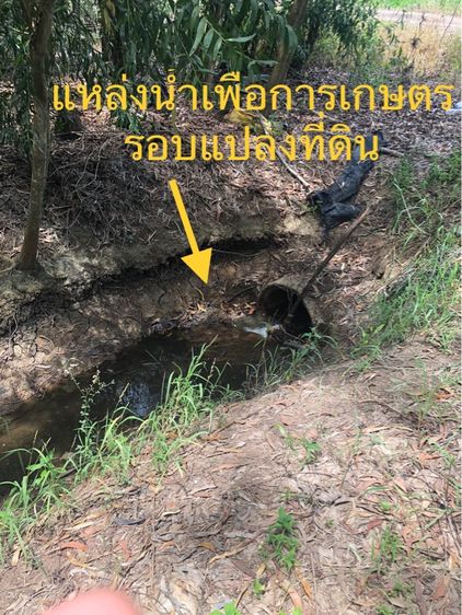 ที่ดิน นครนายก ไร่ล่ะ 450,000 รูปที่ 3