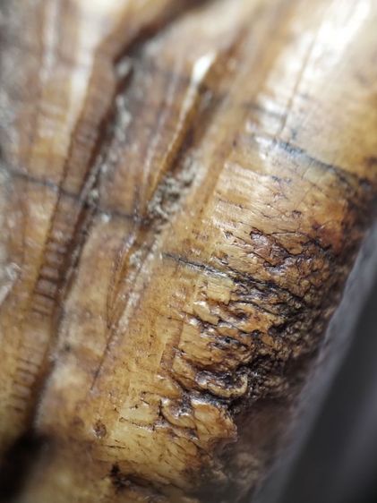 พุทธศิลป์สวยเก่าจัดมีจารครับ รูปที่ 17