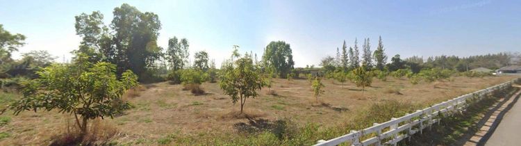 ขายที่ดินป่าสัก ลำพูน 4 ไร่ 2 งาน 44 ตรว หน้ากว้าง แปลงสวย รูปที่ 2