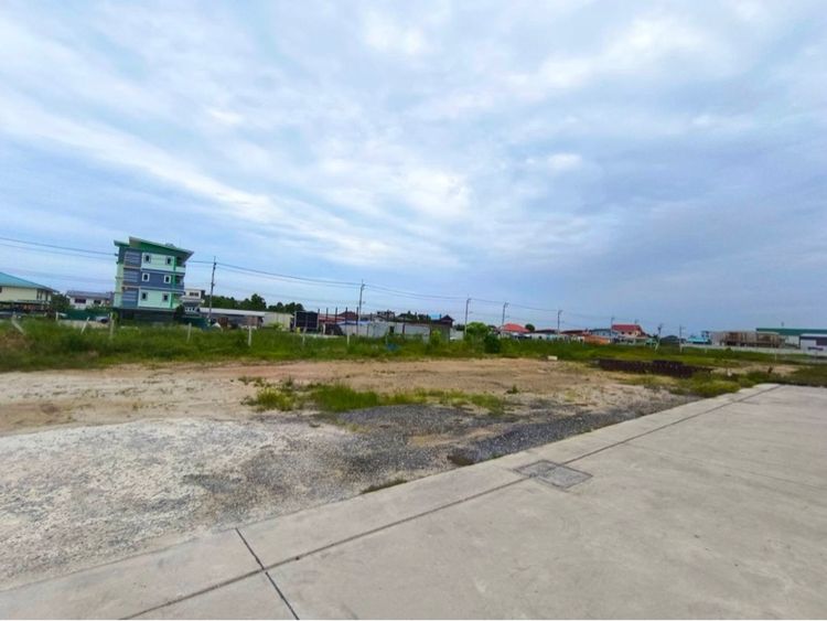 ขายที่ดิน 1 งาน 71 กว่าตารางวา สุขุมวิท บางปู สมุทรปราการ รูปที่ 4