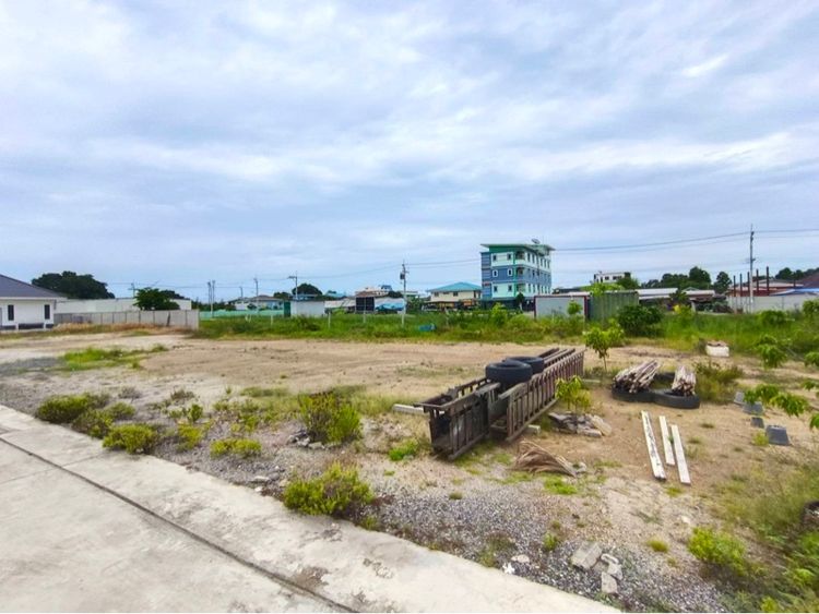 ขายที่ดิน 1 งาน 71 กว่าตารางวา สุขุมวิท บางปู สมุทรปราการ รูปที่ 3