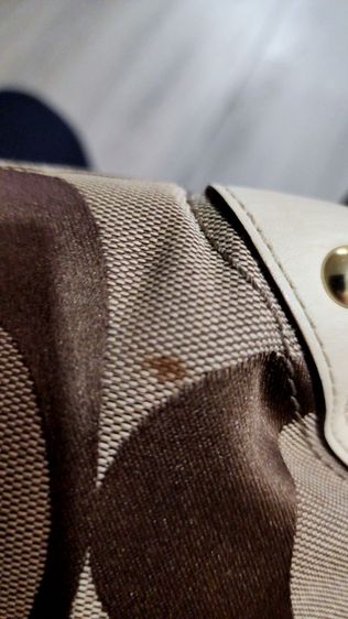 coach bag รูปที่ 8