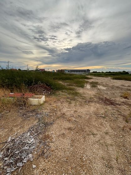 ขายที่ดินเนื้อที่ 1 งาน 84.7 ตารางวา บางปู สมุทรปราการ รูปที่ 3