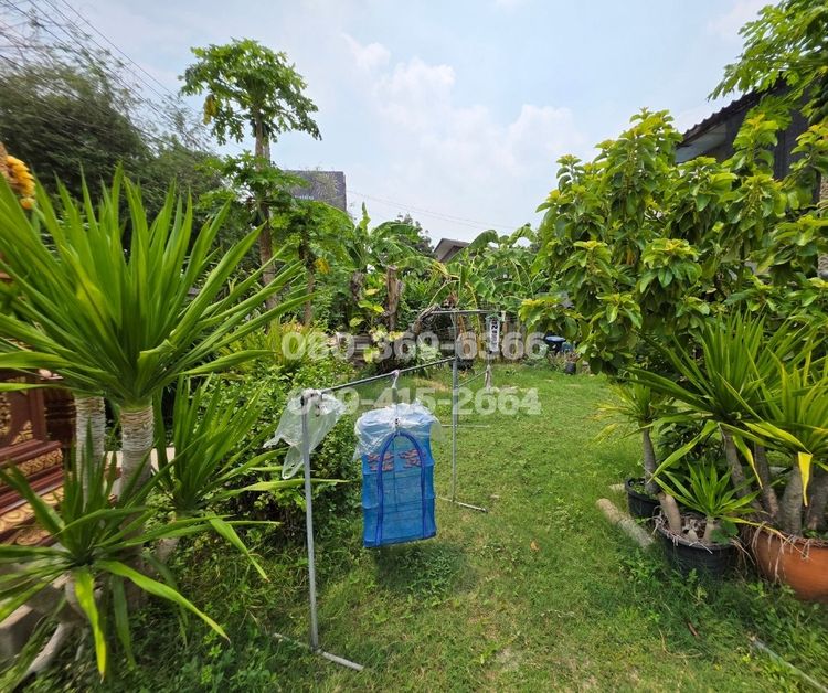 มีบางส่วน ไม่ใช่ ขายที่ดินพร้อมสิ่งปลูกสร้าง ในซอยสุขุมวิท68ใกล้ รพ.กล้วยน้ำไท3 รูปที่ 3