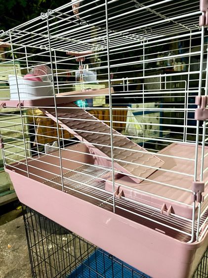 กรงกระต่าย 2 กรง (เหมา) รูปที่ 6