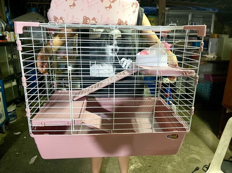 กรงกระต่าย 2 กรง (เหมา) รูปที่ 7