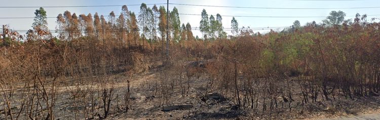 ที่ดินเปล่า 26 ไร่ 130.8 ตร.วา ที่ดินติดถนน  มีโฉนด เดินทางสะดวก อยู่ตรงข้ามสถานีควบคุมก๊าชที่ 46 ของ ปตท.  รูปที่ 3