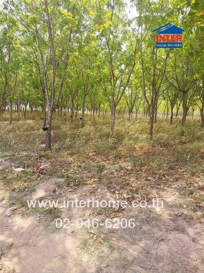 ที่ดินเปล่า 42 ไร่ 33.9 ตร.ว. ที่ดิน ใกล้โรงพยาบาล พระยืน ถนนมิตรภาพ ถนนทางหลวงหมายเลข2062 พระยืน ขอนแก่น
