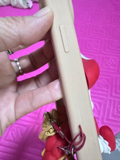 เคส iPhone 15 Pro Max รูปที่ 12