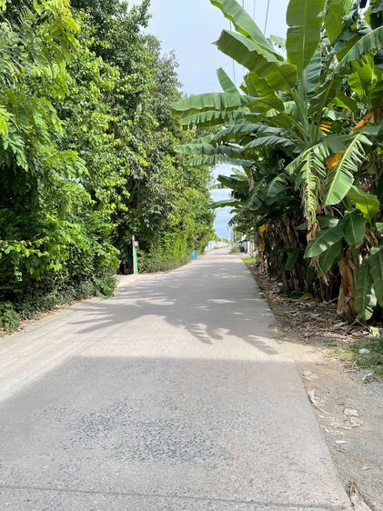 ไม่ใช่ ขายที่ดินสวย หลังโลตัสบางใหญ่ อำเภอบางกรวย เนื้อที่ 2-2-20 ไร่ ราคา 65 ลบ. สนใจติดต่อคุณปุ้ย 08-99209893  เจรจาได้ รูปที่ 2